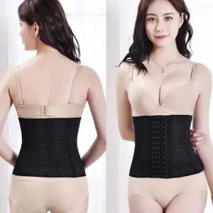 벨트 뱃살보정 코르셋 메쉬