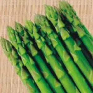 아스파라거스종자 야채씨앗 채소종자 메리워싱톤아스파라거스 (WFJ7CTY)