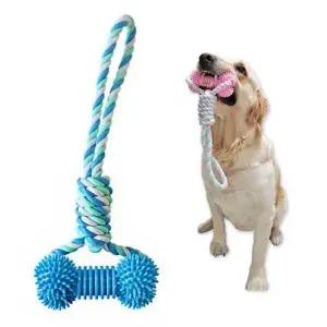 강아지 로프 장난감 덴탈 본 블루 펫 치아 관리용 WFJ4RAF
