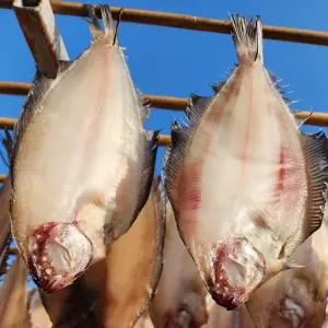 국내산 반건조 손질 기름 가자미 물가자미 미주구리