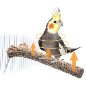 FIZP 새 온열기 케이지용 히터 아프리카 그레이  앵무새  코카티엘  이국적인 앵무새용(미국) 미국 플러그