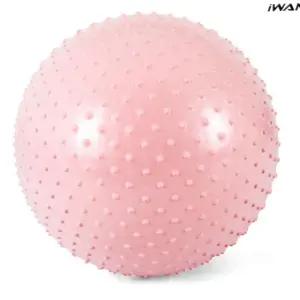 L92 안티버스터 마사지 짐볼 65cm 베이비핑크 짐볼 헬