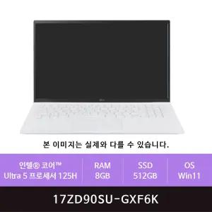 LG 2025 그램17 17ZD90SU-GXF6K 512GB교체/Win11설치(zoaa)
