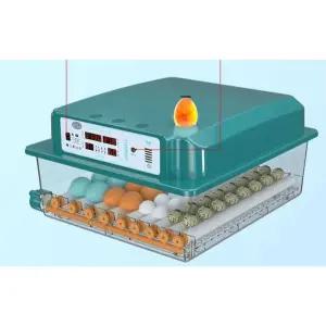 병아리부화기 3064개 유정란 단전기 용 부화기