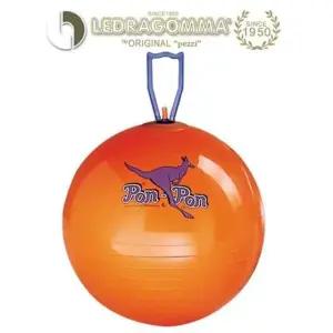 53cm 레드라곰마 53cm유아볼 유아체육짐볼 볼 유아용짐볼 (WFKDJ16)