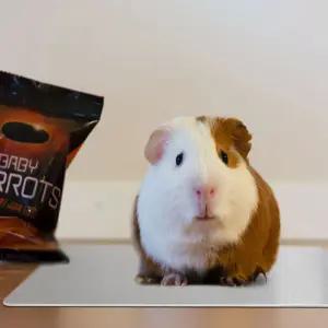 아이스애견쿨매트 애완동물 알루미늄 패드 L방석 여름 시원한 강아지 시트