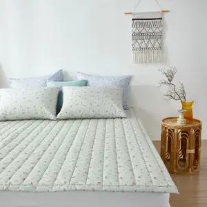 라움베딩 로고티스 카페트 SS 110x200간절기 자취생이불 기숙사 예쁜 집꾸미기 방꾸미기 들이선물 원룸꾸미