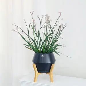 모던 도기 화분 UFO 우드스텐 셋트 D17x17cm실내 식물 인테리어 소품 정원 꾸미기 스텐 장식 디자인