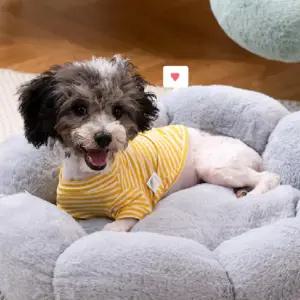 겨울 극세사 강아지 고양이 방석 쿠션 애견 미끄럼소형 푹신한 중형견 소형견 강아지집 따뜻한담요 개석 펫