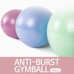 홈트 실내운동 안티버스 파스텔 짐볼 65cm볼 요가볼 멀티볼 필라테스볼 밸런스볼 운동볼 소품 도구 용품 기