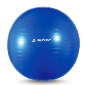 짐볼 65cm 요가 필라테스 밸런스 보수 볼 발펌프포함간단한운동 대형볼 볼정리대 홈트족 스레칭볼 탱탱볼