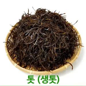 싱싱한 생톳2kg 청정완도산 톳 싱싱지오