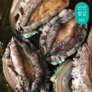 [바다마을] 완도 참 전복 왕특대활전복 8~9미 1kg (산소포장)