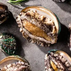 완도 활전복 (특대) 1kg 7-10미 싱싱한 참전복 전복선물세트 산소포장 생물