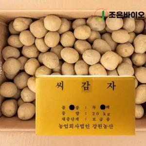 강원농산 두백씨감자 20kg 감자씨 주말농장 모종