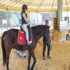 [충남] 안면도 바다비 펜션(대형 미온수 수영장/애견동반가능)(충남, 태안)