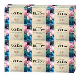 라이스데이 비누 청 100g x12개