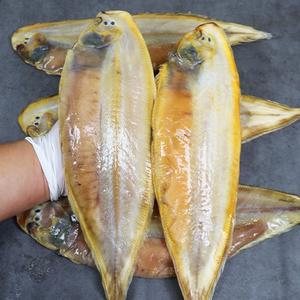 서천어부의 반건조 박대 가정용 10미