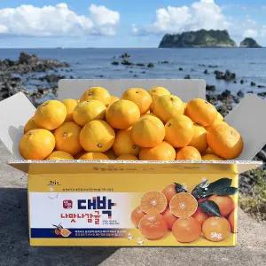 신선한집 서귀포 효돈 노지 감귤 주스용 특대과(2L이상) 10kg
