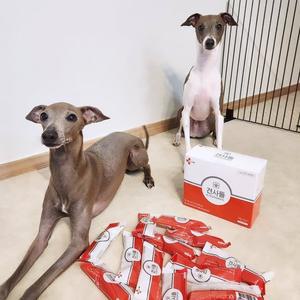 [디펫바이오]견사돌 [2박스] 닭고기 강아지 덴탈껌 치석케어 덴탈츄