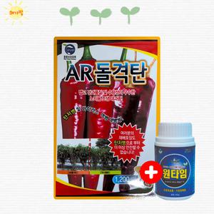 AR돌격탄1200립 사카타 복합내병계 고품질 대과 큰 고추 씨앗 종자