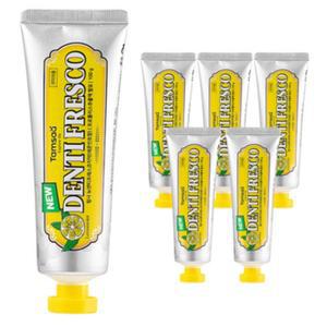 탐사 뉴 덴티프레스코 레몬민트향 구취케어 치약 100g x 12개 (총 1200g)