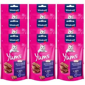 [26년2월] 비타크래프트 캣얌 골든레드피쉬 40g 9개