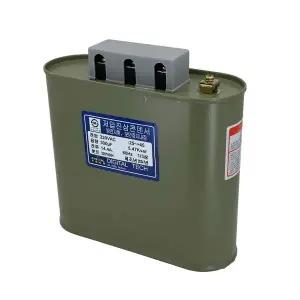 [미래콘덴서]유입식 저압 진상 콘덴서 커패시터 캐패시터 단상 삼상 1상 3상 겸용 220V 300UF DLE-2B300S/T