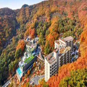 [충북] 포레스트 리솜  앤  레스트리(충북호텔/제천호텔/제천포레스트 리솜  앤  레스트리)