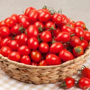 단짠 대추 방울 토마토 2kg