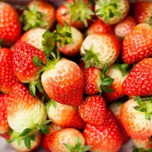 딸기 못난이 쥬스용 1kg  겨울 생딸기 과수랜덤(CS불가상품)