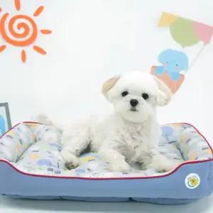 패리스독 코끼리쿨양면베드개방석 애견쿠션 디자인개방석 애견방석 애완