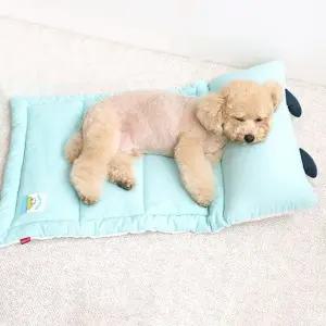 낮잠베드 스누피 블루 (WFJR3DO)