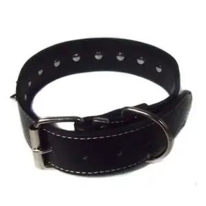 가죽 60cm 징 4cm 토이 목줄 대견 x (WFJR6Z1)