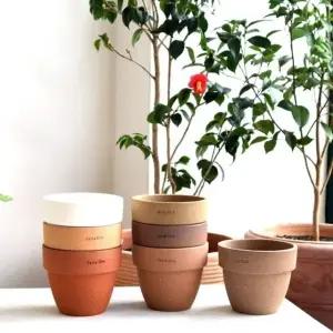 ksr 테라원 팽이 D15 15x13cm (랜덤컬러) D15 + 받침R14 (WFJ7PNM)