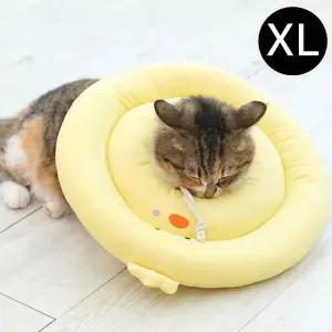 옐로우 병아리 XL 반려동물 뉴베프카라 (WFJ7YL6)