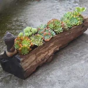 통나무 모양 화분 인테리어 1미터 꾸미기 발코니 대형 꽃 급수 찻집 다육이