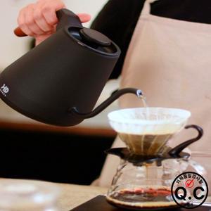 전기 주전자 구즈넥 핸드 브루 커피 포트, 온도 조절 가열 물병, 스마트 티팟, 220V, 800ml
