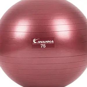 L57 짐볼 운동짐볼 75cm 루비 마사지볼 짐볼 마사지볼