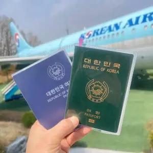 고품질 여권 케이스 반투명 기본형 투명 비닐 커버 신여권 보 (WFKB6WC)