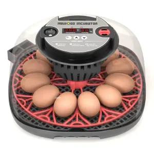 습도 디스플레이가 있는 Meuiosd 12-24 알 인큐베이터 캔들러 자동 터너 부화용 닭 오리 메추라기 앵무새용