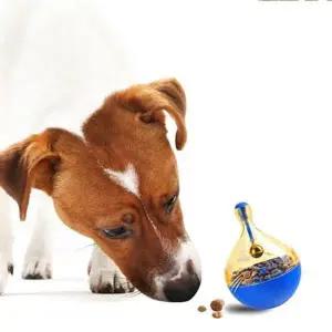 [하프클럽/]반려동물 간식 노즈워크 스낵볼 장난감