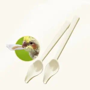 앵무새 이유식 스푼 10p 먹이 키우기 새용품 조류 반려 동물 모이 펫용품 펫용품샵