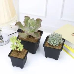 실내정원 사각화분포트 사각형 플라스틱화분 9x9cm실내화분 (WFKC4B2)