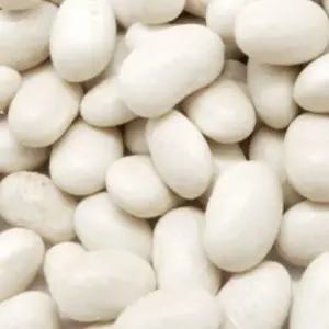 곡물종자 곡물품종 600g 흰색강낭콩종자 600g채소씨앗 (WFKBY5A)