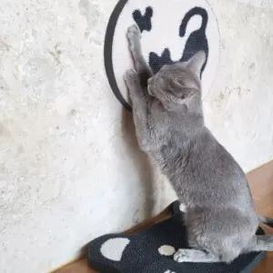 고양이 캐릭터 스크래처 (와 나비-화이트)붙이는크래쳐 캣크래 크레 크래 크레쳐 크래쳐 벽크래쳐 크래쳐매