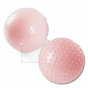 아이워너 마사지 짐볼 실버 65cm 핑크 1P 돌기형 코어