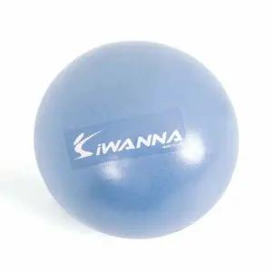 마사지볼 마사지짐볼 미니짐볼 라벤더 25cm 짐볼