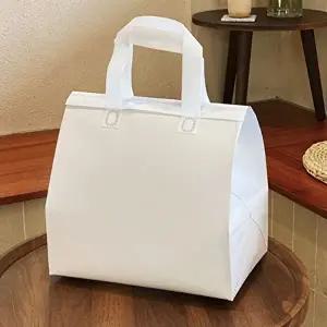 부직포 보냉백 테이크아웃 피크닉 아이스백 가방 소
