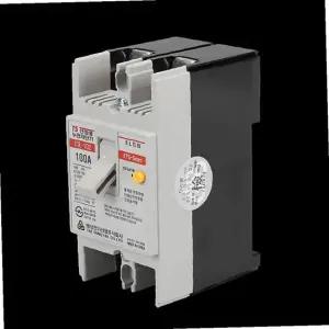 누전차단기 산업용 TBE 102a(TCE 102) 2P 100A 5KA